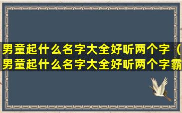 男童起什么名字大全好听两个字（男童起什么名字大全好听两个字霸气）