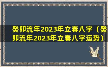 癸卯流年2023年立春八字（癸卯流年2023年立春八字运势）