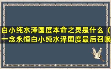 白小纯水泽国度本命之灵是什么（一念永恒白小纯水泽国度最后召唤出什么了）