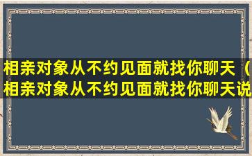 相亲对象从不约见面就找你聊天（相亲对象从不约见面就找你聊天说明什么）