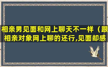 相亲男见面和网上聊天不一样（跟相亲对象网上聊的还行,见面却感觉不是很合适）