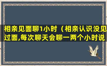 相亲见面聊1小时（相亲认识没见过面,每次聊天会聊一两个小时说明什么）