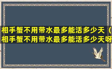 相手蟹不用带水最多能活多少天（相手蟹不用带水最多能活多少天呀）