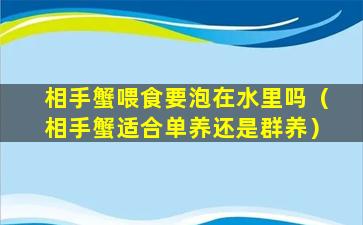 相手蟹喂食要泡在水里吗（相手蟹适合单养还是群养）