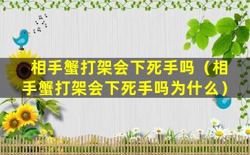 相手蟹打架会下死手吗（相手蟹打架会下死手吗为什么）