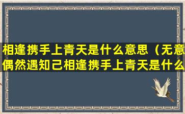 相逢携手上青天是什么意思（无意偶然遇知己相逢携手上青天是什么意思）