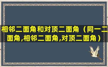 相邻二面角和对顶二面角（同一二面角,相邻二面角,对顶二面角）