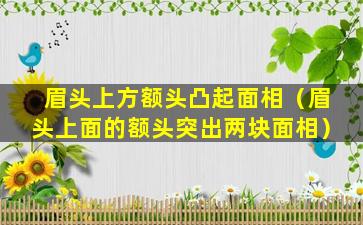 眉头上方额头凸起面相（眉头上面的额头突出两块面相）