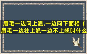 眉毛一边向上翘,一边向下面相（眉毛一边往上翘一边不上翘叫什么）