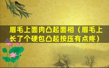 眉毛上面肉凸起面相（眉毛上长了个硬包凸起按压有点疼）