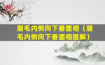 眉毛内侧向下垂面相（眉毛内侧向下垂面相图解）