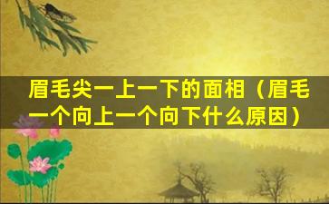 眉毛尖一上一下的面相（眉毛一个向上一个向下什么原因）