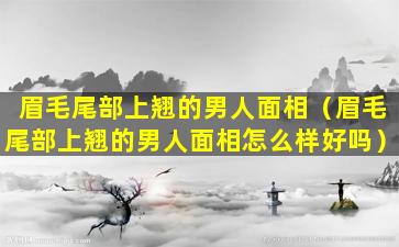 眉毛尾部上翘的男人面相（眉毛尾部上翘的男人面相怎么样好吗）