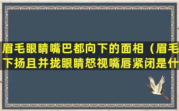 眉毛眼睛嘴巴都向下的面相（眉毛下扬且并拢眼睛怒视嘴唇紧闭是什么表情）