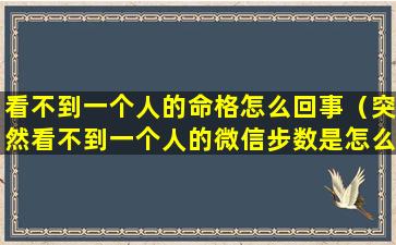 看不到一个人的命格怎么回事（突然看不到一个人的微信步数是怎么回事）