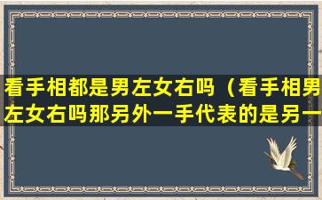 看手相都是男左女右吗（看手相男左女右吗那另外一手代表的是另一半吗）