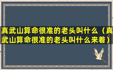 真武山算命很准的老头叫什么（真武山算命很准的老头叫什么来着）