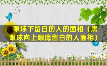 眼球下留白的人的面相（黑眼球向上眼底留白的人面相）