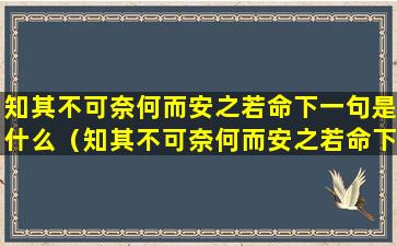 知其不可奈何而安之若命下一句是什么（知其不可奈何而安之若命下一句是什么意思）