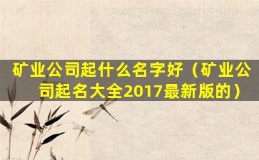 矿业公司起什么名字好（矿业公司起名大全2017最新版的）