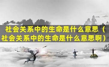 社会关系中的生命是什么意思（社会关系中的生命是什么意思啊）