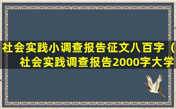 社会实践小调查报告征文八百字（社会实践调查报告2000字大学生）