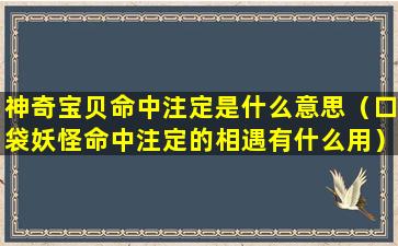 神奇宝贝命中注定是什么意思（口袋妖怪命中注定的相遇有什么用）