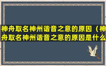 神舟取名神州谐音之意的原因（神舟取名神州谐音之意的原因是什么）