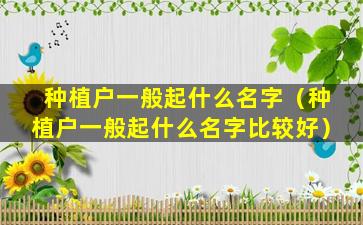 种植户一般起什么名字（种植户一般起什么名字比较好）