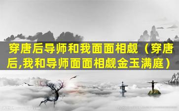 穿唐后导师和我面面相觑（穿唐后,我和导师面面相觑金玉满庭）