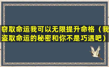 窃取命运我可以无限提升命格（我盗取命运的秘密和你不是巧遇吧）