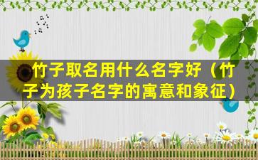 竹子取名用什么名字好（竹子为孩子名字的寓意和象征）