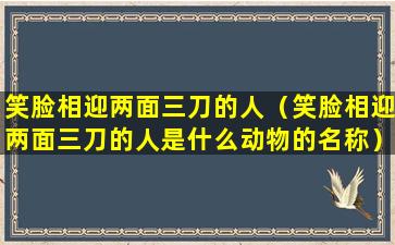 笑脸相迎两面三刀的人（笑脸相迎两面三刀的人是什么动物的名称）