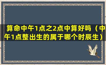 算命中午1点之2点中算好吗（中午1点整出生的属于哪个时辰生）