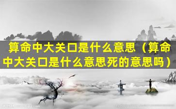 算命中大关口是什么意思（算命中大关口是什么意思死的意思吗）