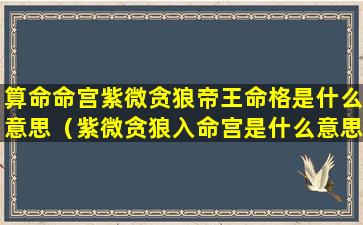 算命命宫紫微贪狼帝王命格是什么意思（紫微贪狼入命宫是什么意思）