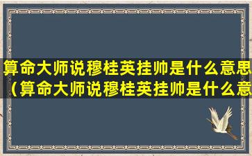 算命大师说穆桂英挂帅是什么意思（算命大师说穆桂英挂帅是什么意思呢）