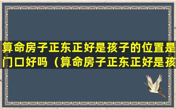 算命房子正东正好是孩子的位置是门口好吗（算命房子正东正好是孩子的位置是门口好吗）