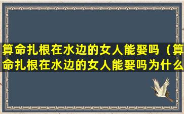 算命扎根在水边的女人能娶吗（算命扎根在水边的女人能娶吗为什么）