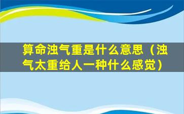 算命浊气重是什么意思（浊气太重给人一种什么感觉）