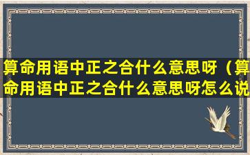 算命用语中正之合什么意思呀（算命用语中正之合什么意思呀怎么说）