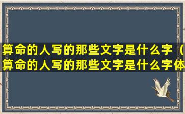 算命的人写的那些文字是什么字（算命的人写的那些文字是什么字体）