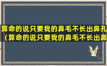 算命的说只要我的鼻毛不长出鼻孔（算命的说只要我的鼻毛不长出鼻孔是真的吗）