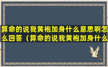 算命的说我黄袍加身什么意思啊怎么回答（算命的说我黄袍加身什么意思啊怎么回答女生）