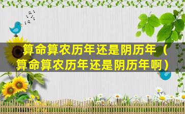 算命算农历年还是阴历年（算命算农历年还是阴历年啊）