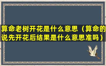 算命老树开花是什么意思（算命的说先开花后结果是什么意思准吗）