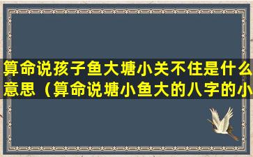 算命说孩子鱼大塘小关不住是什么意思（算命说塘小鱼大的八字的小孩该怎么养）