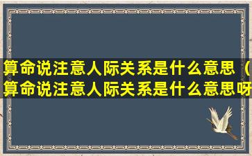 算命说注意人际关系是什么意思（算命说注意人际关系是什么意思呀）