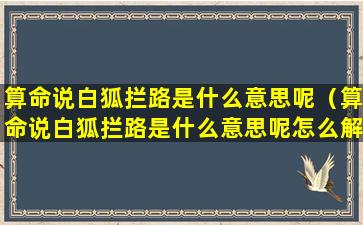 算命说白狐拦路是什么意思呢（算命说白狐拦路是什么意思呢怎么解释）