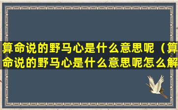 算命说的野马心是什么意思呢（算命说的野马心是什么意思呢怎么解释）